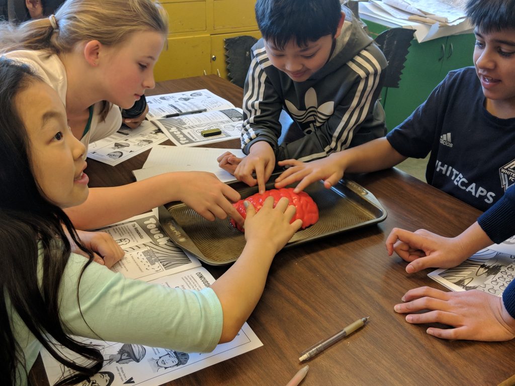 Students touching a jello brain as part of the Brain Waves program