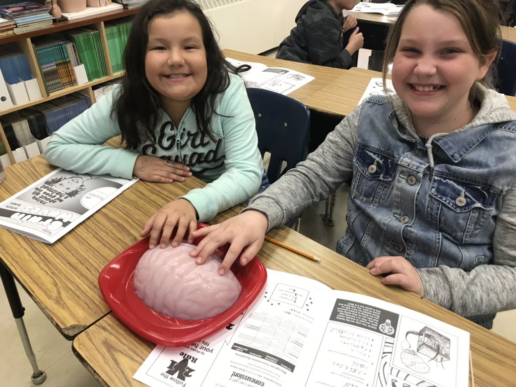 Students touching gelatine brain for Brain Waves