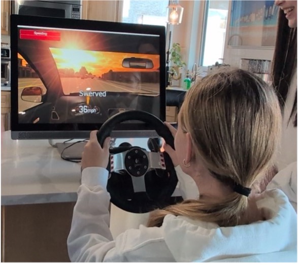 Photo of driving simulator