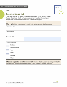 Image of Caregivers Guide tool -- Documenting a fall